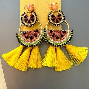 🍉🍉 statement earrings🍉🍉